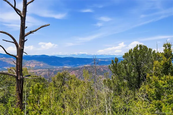 7070 Cr 1, Cripple Creek, CO 80813
