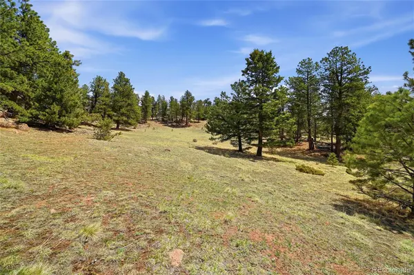 7070 Cr 1, Cripple Creek, CO 80813