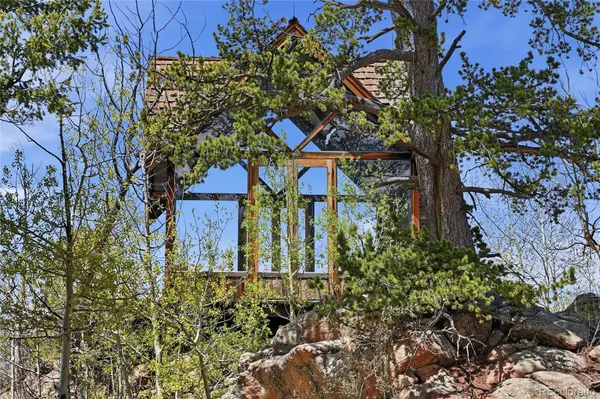 7070 Cr 1, Cripple Creek, CO 80813