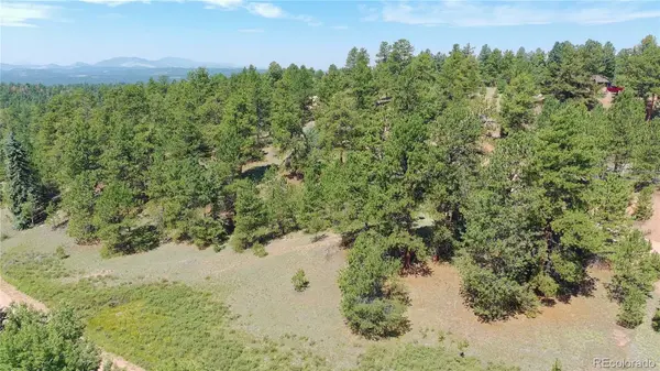 719 Spring Valley LN, Florissant, CO 80816