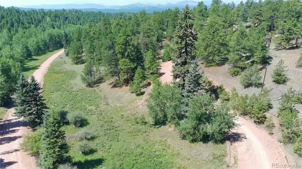 719 Spring Valley LN, Florissant, CO 80816