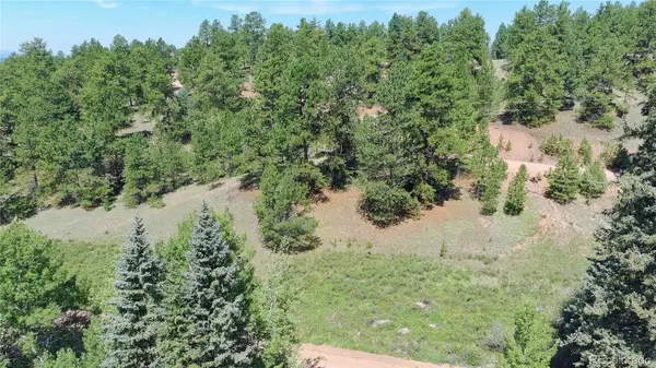 719 Spring Valley LN, Florissant, CO 80816