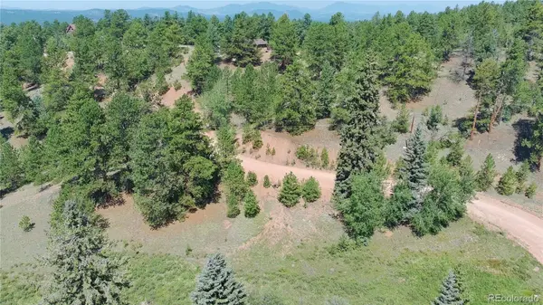 719 Spring Valley LN, Florissant, CO 80816