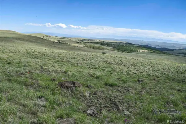 00 Bear Cat RD, Guffey, CO 80820
