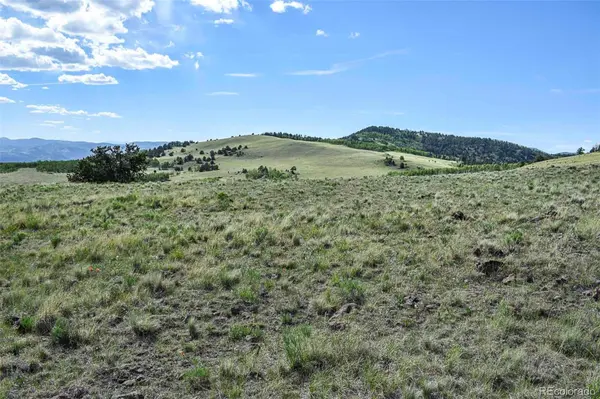 00 Bear Cat RD, Guffey, CO 80820