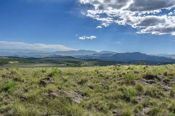 00 Bear Cat RD, Guffey, CO 80820