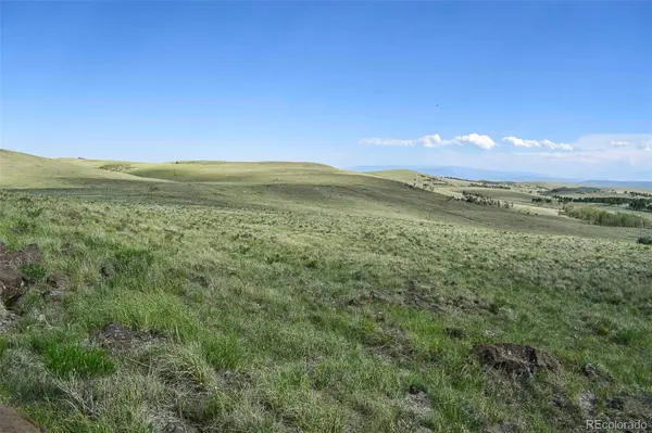 00 Bear Cat RD, Guffey, CO 80820