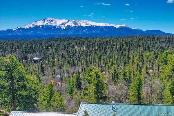5542 North RD, Divide, CO 80814