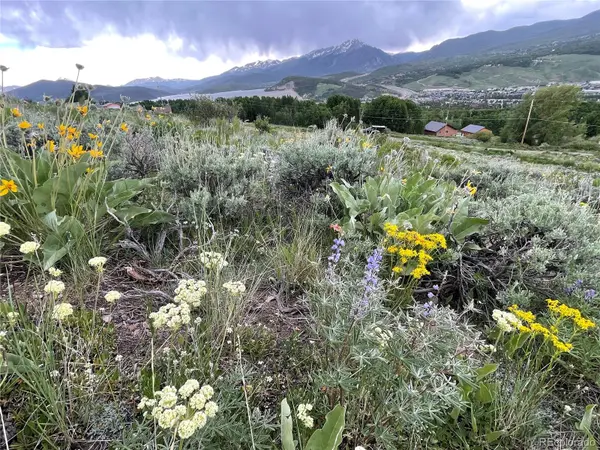 371 Z RD, Silverthorne, CO 80498