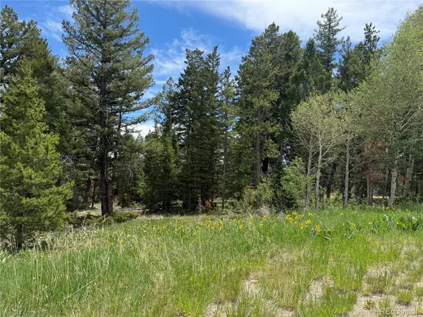 Spring Creek Ranch RD, Silverthorne, CO 80498