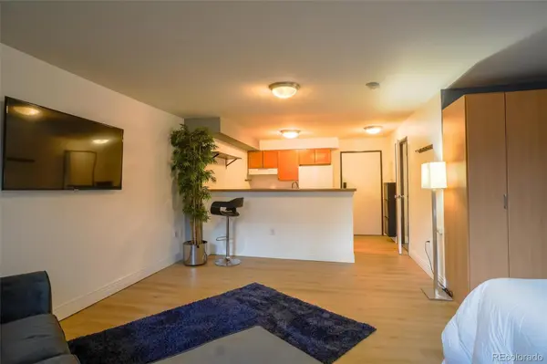 1196 N Grant ST #113, Denver, CO 80203