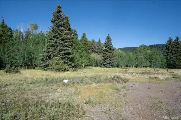 42 W Peregrine, Antonito, CO 81120