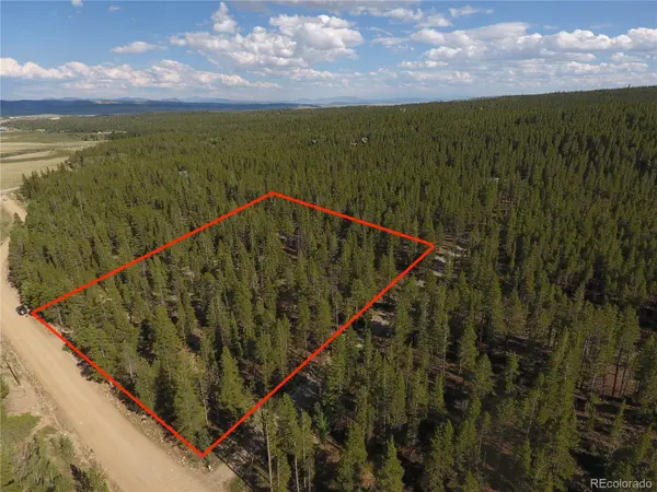 248 Venture RD, Fairplay, CO 80440