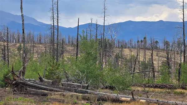 Lot 1177 Bechtel PL, Fort Garland, CO 81133