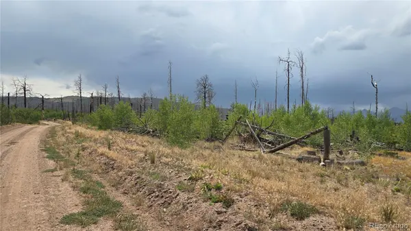Lot 1177 Bechtel PL, Fort Garland, CO 81133