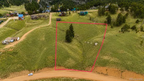 175 Twin Lakes DR, Divide, CO 80814