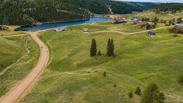 175 Twin Lakes DR, Divide, CO 80814