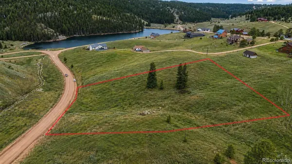 175 Twin Lakes DR, Divide, CO 80814