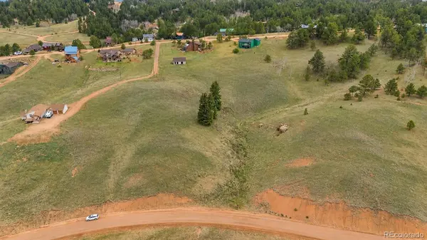 175 Twin Lakes DR, Divide, CO 80814