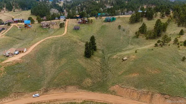 175 Twin Lakes DR, Divide, CO 80814
