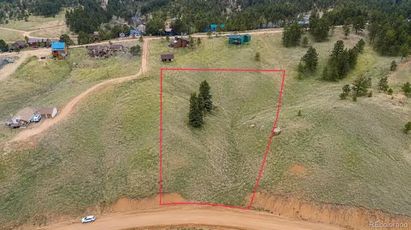 175 Twin Lakes DR, Divide, CO 80814