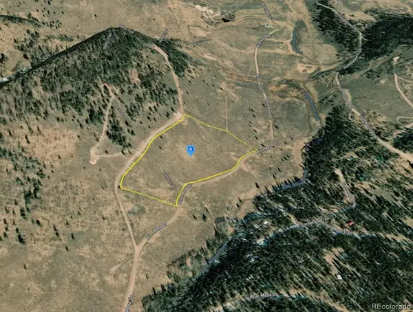 220 Gothic TRL, Powderhorn, CO 81243