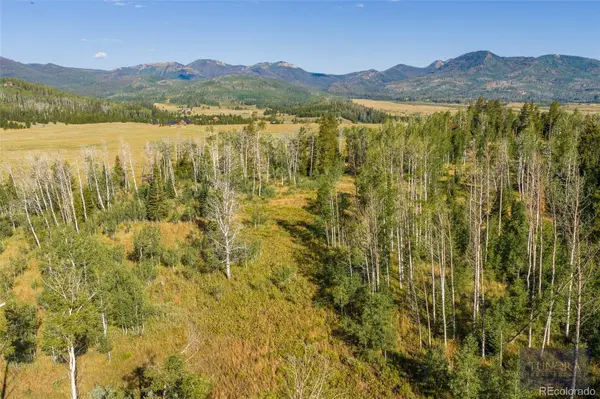 59045 Button Willow DR, Clark, CO 80428