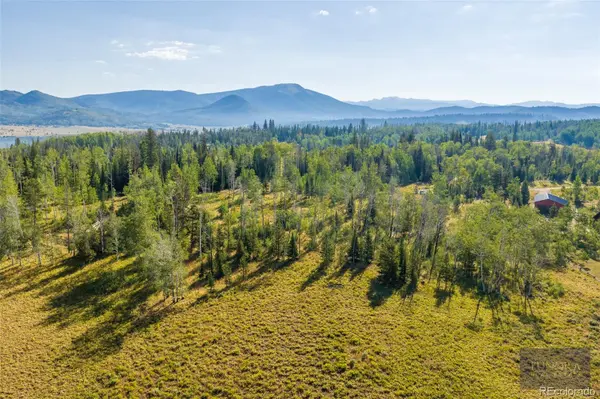 59045 Button Willow DR, Clark, CO 80428