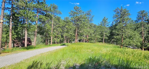 27903 Pine DR, Evergreen, CO 80439