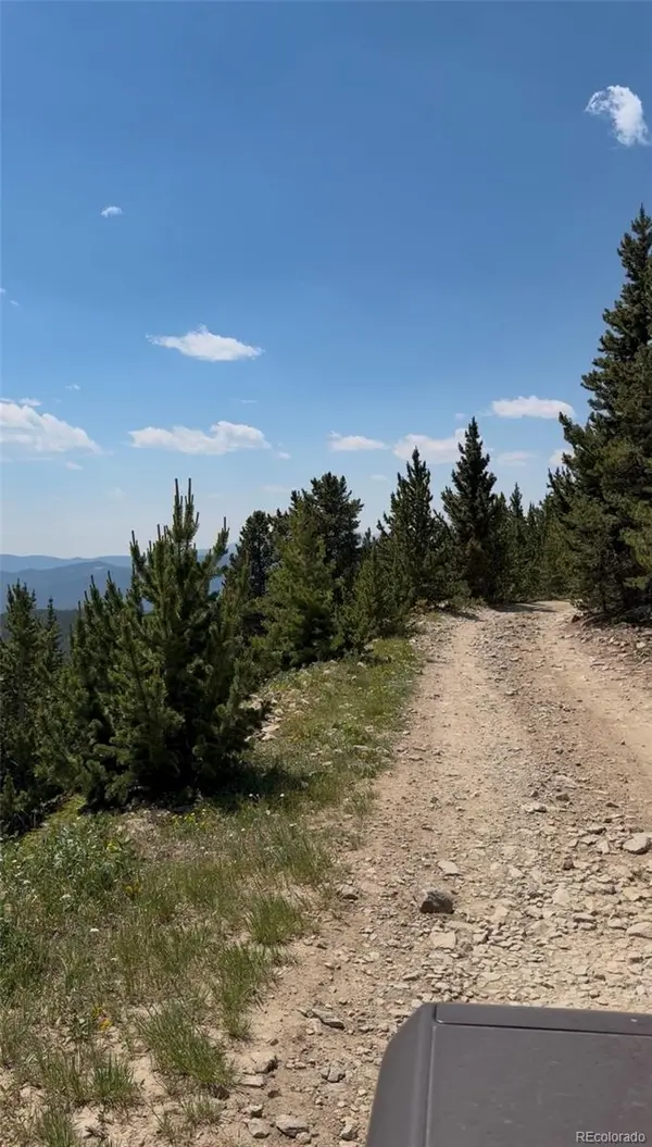 1 Nebraska CIR, Idaho Springs, CO 80452