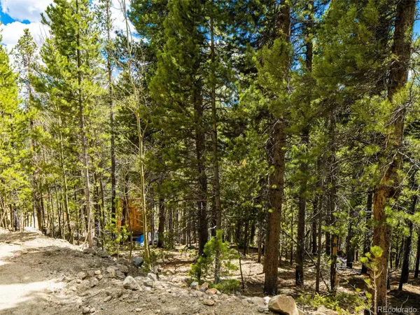 9 Rainbow RD, Idaho Springs, CO 80452