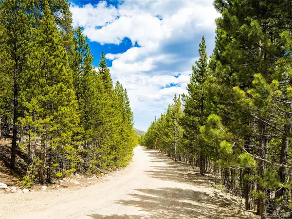 9 Rainbow RD, Idaho Springs, CO 80452