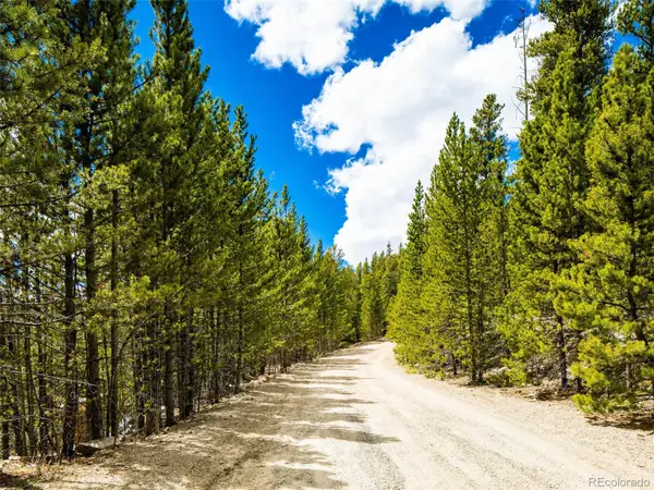 9 Rainbow RD, Idaho Springs, CO 80452