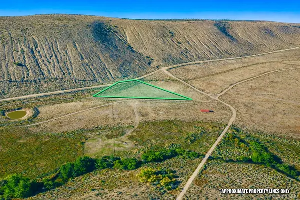 Lot 2 Canyon Road, Capulin, CO 81124