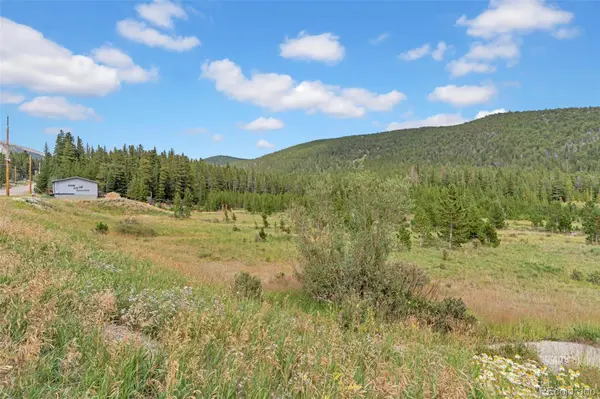 Lot 43 & 44 Silver Creek Road, Idaho Springs, CO 80452