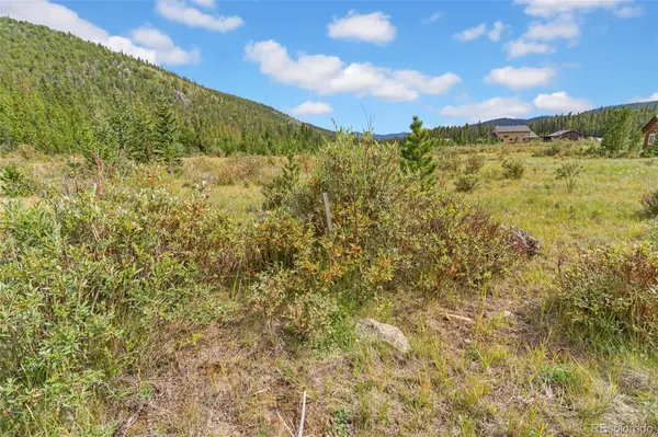 Lot 43 & 44 Silver Creek Road, Idaho Springs, CO 80452