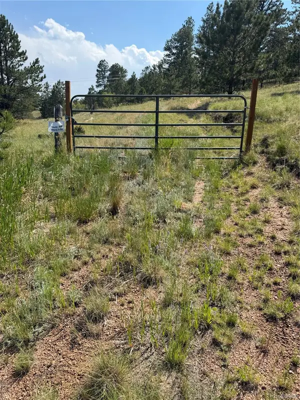 39 Rabbil Creek TRL, Florissant, CO 80816