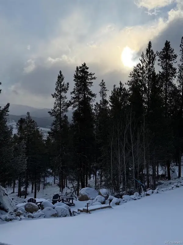 640 Edward E Hill DR, Twin Lakes, CO 81251