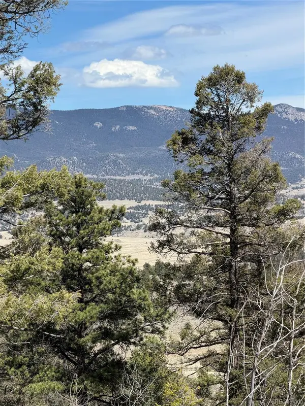233 Cradle Board CT, Jefferson, CO 80456