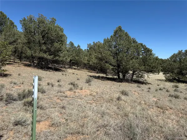 520 W View RD, Cotopaxi, CO 81223