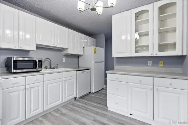 1008 N Corona ST #501, Denver, CO 80218