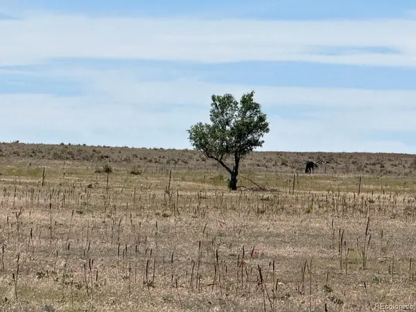 40495 Hoot Owl Road RD, Ramah, CO 80832