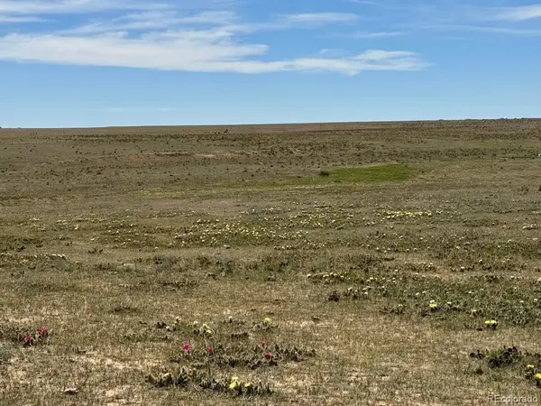 40495 Hoot Owl Road RD, Ramah, CO 80832