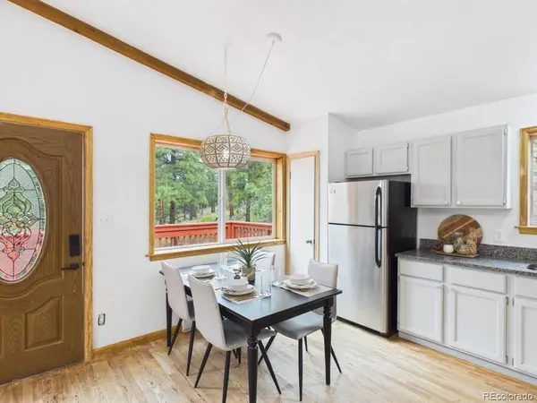 784 Mockingbird TRL, Bailey, CO 80421