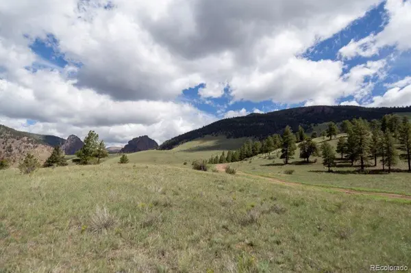 730 Cliff View DR, Creede, CO 81130