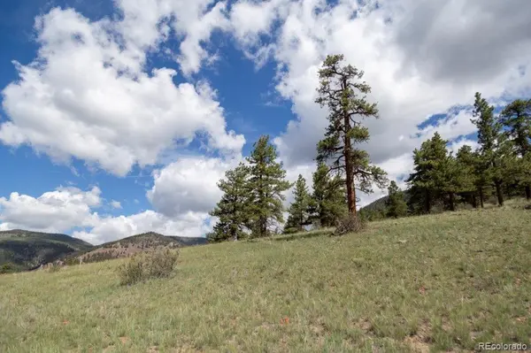 730 Cliff View DR, Creede, CO 81130