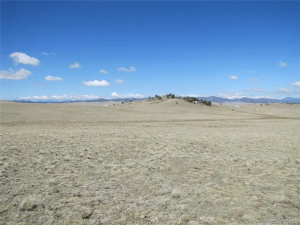 1454 Chicha RD, Hartsel, CO 80449