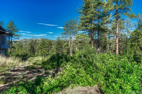 1205 Wildcat Bend CT, Castle Rock, CO 80108