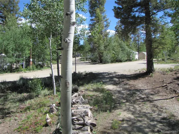 1524 Narrow Gauge RD, Hartsel, CO 80449
