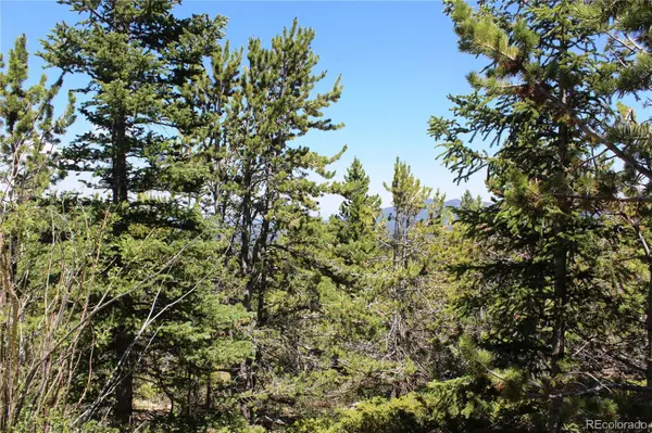 1595 Missouri Gulch RD, Black Hawk, CO 80422